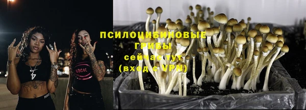spice Покачи