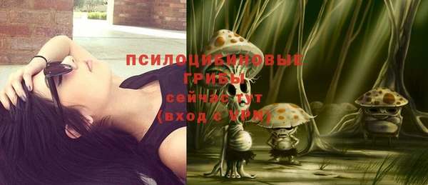 spice Покачи