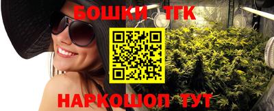ешки Гатчина