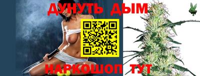 ALPHA PVP Гай