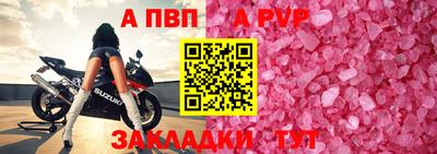 ALPHA PVP Гай