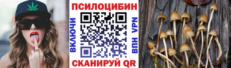 Галлюциногенные грибы прущие грибы  Зеленокумск 