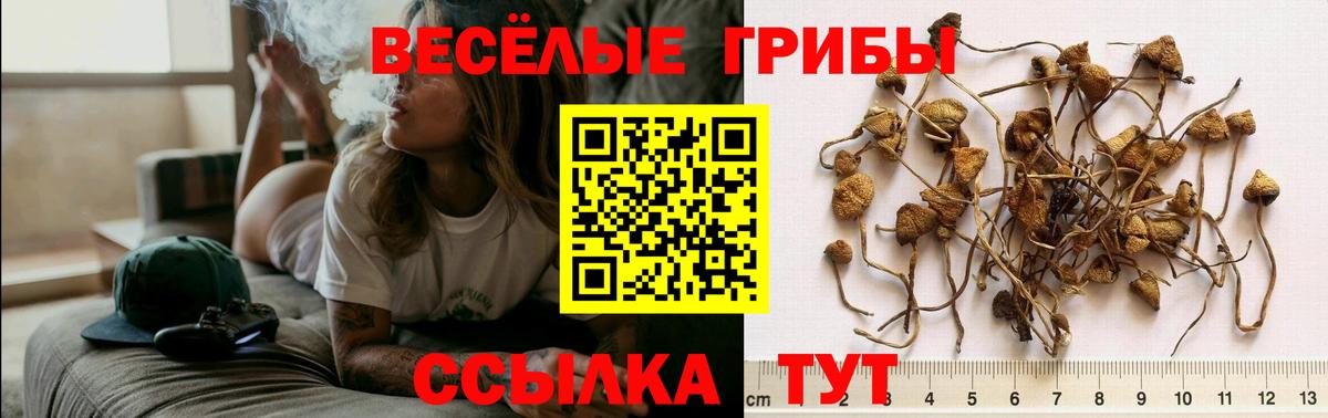 Псилоцибиновые грибы прущие грибы  Псилоцибиновые грибы Magic Shrooms  Вход с VPN  Зеленокумск 