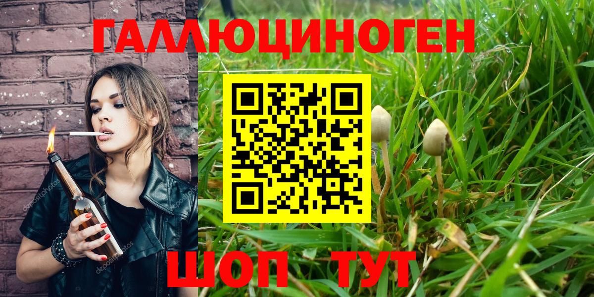 Псилоцибиновые грибы мухоморы  цены   Зеленокумск 